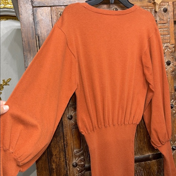 Toccin x Rent the Runway Brown Spice Balloon Sleeve Sweater Dress Size Small - Picture 12 of 14